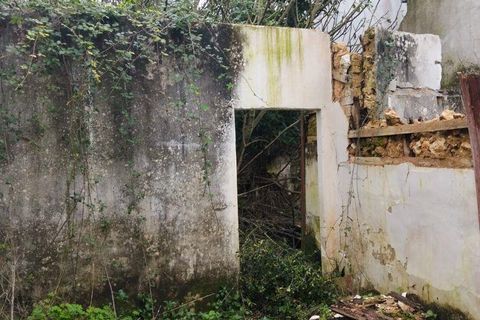 Byhus i Rio Maior, Santarem, Rio Maior - € 115.000 | Ref: 792584 - foto 32