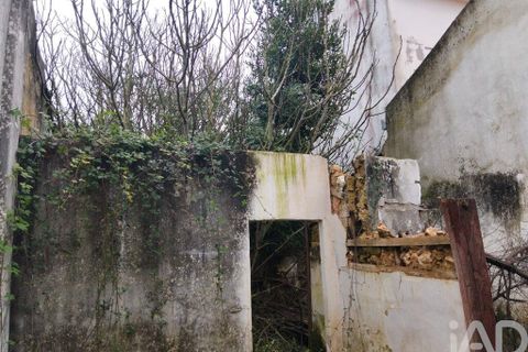 Byhus i Rio Maior, Santarem, Rio Maior - € 115.000 | Ref: 792584 - foto 33