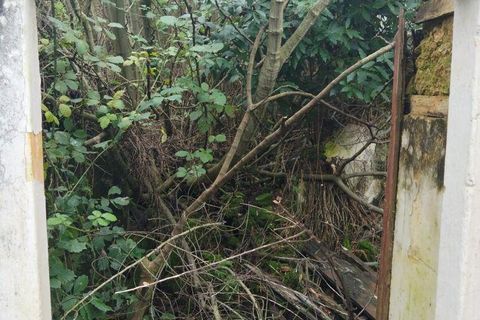 Byhus i Rio Maior, Santarem, Rio Maior - € 115.000 | Ref: 792584 - foto 34