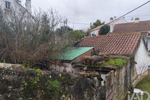Byhus i Rio Maior, Santarem, Rio Maior - € 115.000 | Ref: 792584 - foto 37
