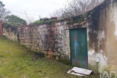 Byhus i Rio Maior, Santarem, Rio Maior - € 115.000 | Ref: 792584 - foto 38