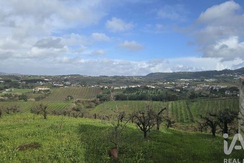 Helårsgrund i Cadaval, Lisbon, Cadaval - € 75.000 | Ref: 807202 - foto 4