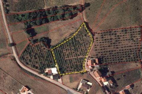 Helårsgrund i Cadaval, Lisbon, Cadaval - € 75.000 | Ref: 807202 - foto 3