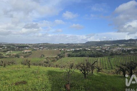 Helårsgrund i Cadaval, Lisbon, Cadaval - € 75.000 | Ref: 807202 - foto 5