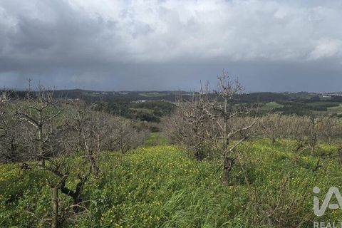 Helårsgrund i Cadaval, Lisbon, Cadaval - € 75.000 | Ref: 807202 - foto 6