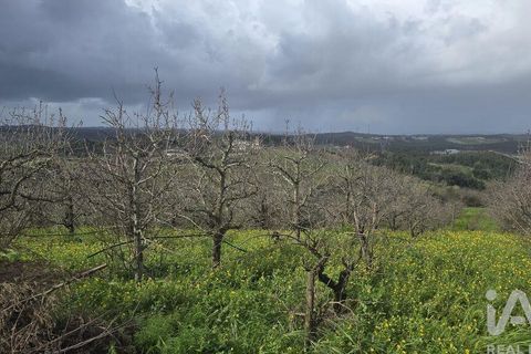 Helårsgrund i Cadaval, Lisbon, Cadaval - € 75.000 | Ref: 807202 - foto 7