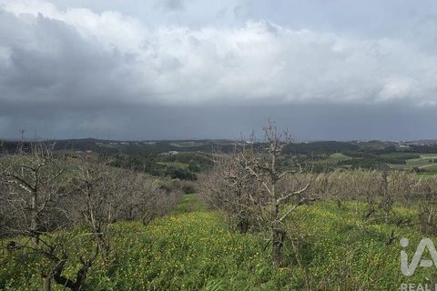 Helårsgrund i Cadaval, Lisbon, Cadaval - € 75.000 | Ref: 807202 - foto 8