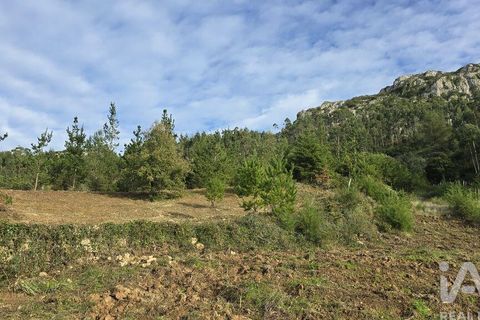 Tomt i Cadaval, Lisbon, Cadaval - € 125 000 | Ref: 780503 - foto 5