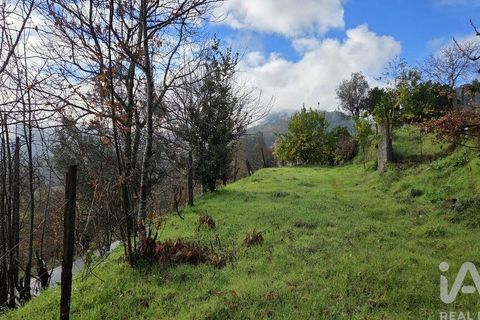 Byhus i Ponte da Barca, Viana do Castelo, Ponte da Barca - € 180.000 | Ref: 811836 - foto 5