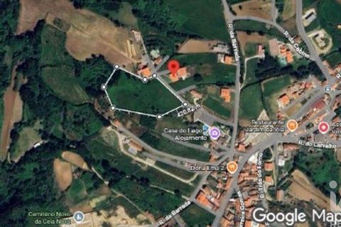 Terra a Alcobaca, Leiria, Alcobaca - € 130.000 | Ref: 799185 - foto 9