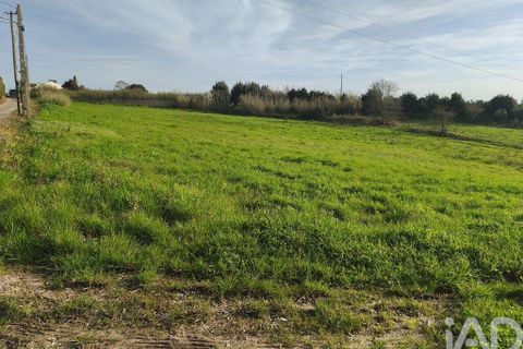 Terra a Alcobaca, Leiria, Alcobaca - € 130.000 | Ref: 799185 - foto 2