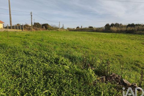 Terra a Alcobaca, Leiria, Alcobaca - € 130.000 | Ref: 799185 - foto 3