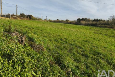 Terra a Alcobaca, Leiria, Alcobaca - € 130.000 | Ref: 799185 - foto 5
