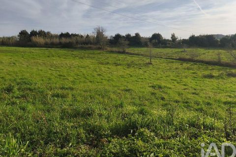 Terra a Alcobaca, Leiria, Alcobaca - € 130.000 | Ref: 799185 - foto 6