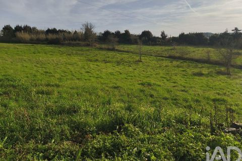 Terra a Alcobaca, Leiria, Alcobaca - € 130.000 | Ref: 799185 - foto 7
