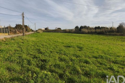 Terra a Alcobaca, Leiria, Alcobaca - € 130.000 | Ref: 799185 - foto 8