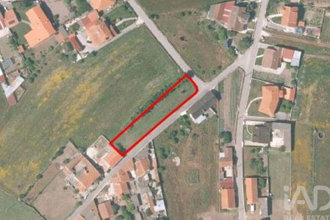 Helårsgrund i Leiria, Leiria, Leiria - € 43.500 | Ref: 797792 - foto 2