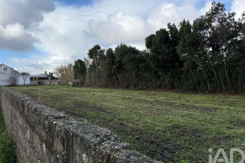 Helårsgrund i Leiria, Leiria, Leiria - € 43.500 | Ref: 797792 - foto 4