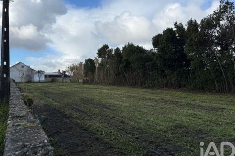 Helårsgrund i Leiria, Leiria, Leiria - € 43.500 | Ref: 797792 - foto 5