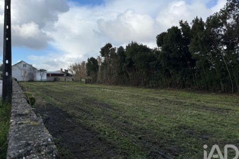 Helårsgrund i Leiria, Leiria, Leiria - € 43.500 | Ref: 797792 - foto 6