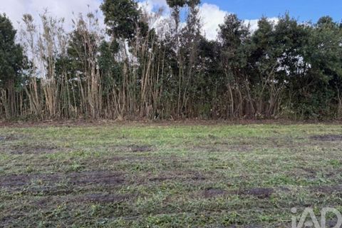 Helårsgrund i Leiria, Leiria, Leiria - € 43.500 | Ref: 797792 - foto 8