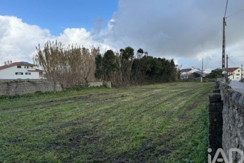 Helårsgrund i Leiria, Leiria, Leiria - € 43.500 | Ref: 797792 - foto 12