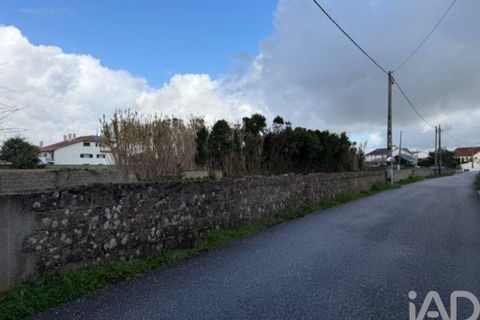 Helårsgrund i Leiria, Leiria, Leiria - € 43.500 | Ref: 797792 - foto 14
