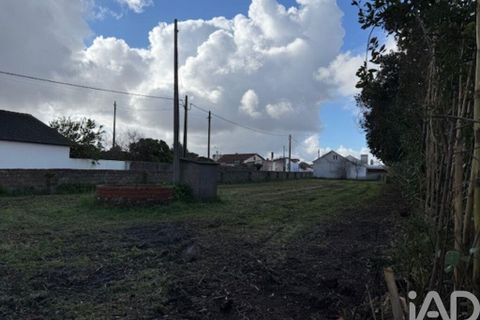 Helårsgrund i Leiria, Leiria, Leiria - € 43.500 | Ref: 797792 - foto 15