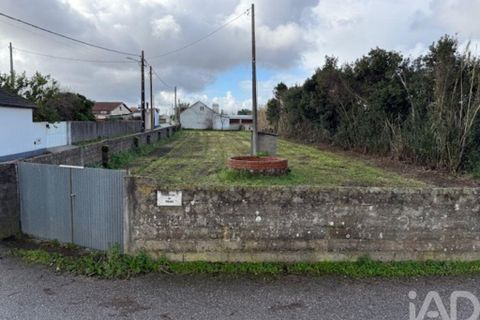 Helårsgrund i Leiria, Leiria, Leiria - € 43.500 | Ref: 797792 - foto 18