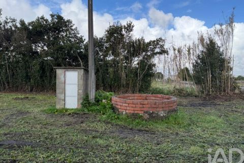 Helårsgrund i Leiria, Leiria, Leiria - € 43.500 | Ref: 797792 - foto 19