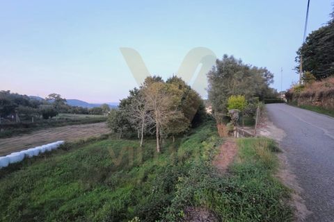 Helårsgrund i Ponte de Lima, Viana do Castelo, Ponte de Lima - € 20.000 | Ref: V341 - foto 2