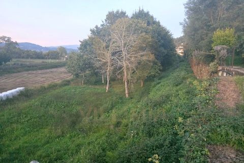 Helårsgrund i Ponte de Lima, Viana do Castelo, Ponte de Lima - € 20.000 | Ref: V341 - foto 3