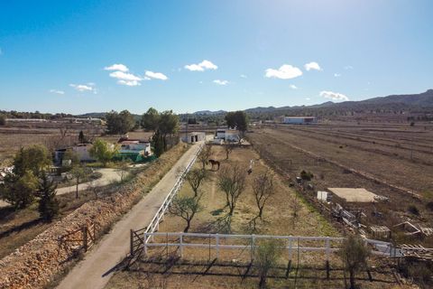 Landejendom i Monovar, Alicante, Monovar - € 200.000 | Ref: CF3298 - foto 5