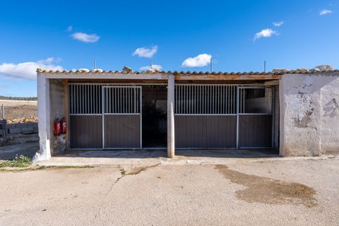 Landejendom i Monovar, Alicante, Monovar - € 200.000 | Ref: CF3298 - foto 43