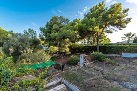 Villa i Santa Ponsa, Mallorca, Santa Ponsa - € 1.620.000 | Ref: FALC-Nep-61352 - foto 19