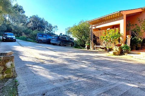 Masia a Sineu, Mallorca, Sineu - € 2.500/mes | Ref: 15100001_GC/11003 - foto 7