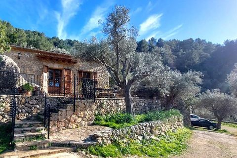 Masia a Alaro, Mallorca, Alaro - € 2.700/mes | Ref: 13400001_GC/11003 - foto 17