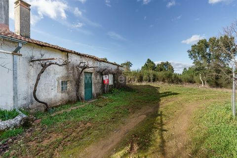 Tomt i Fundao, Castelo Branco, Fundao - € 27 500 | Ref: 255260027 - foto 2