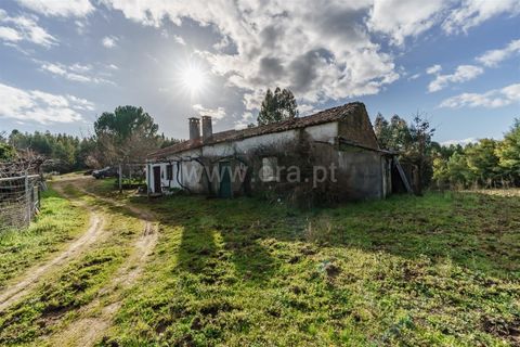 Tomt i Fundao, Castelo Branco, Fundao - € 27 500 | Ref: 255260027 - foto 3