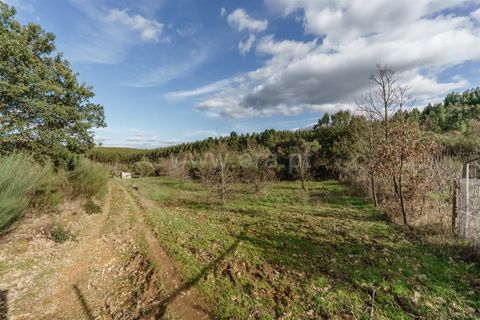Tomt i Fundao, Castelo Branco, Fundao - € 27 500 | Ref: 255260027 - foto 4