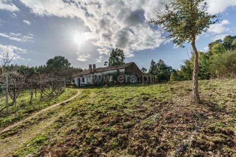 Tomt i Fundao, Castelo Branco, Fundao - € 27 500 | Ref: 255260027 - foto 5