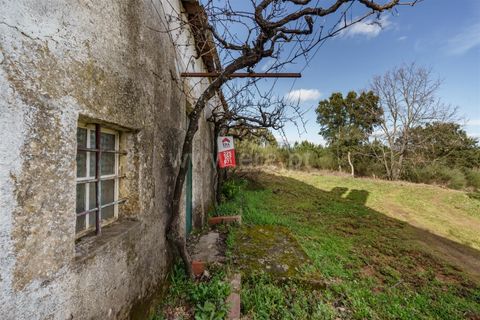 Tomt i Fundao, Castelo Branco, Fundao - € 27 500 | Ref: 255260027 - foto 6