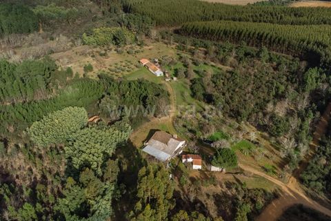Tomt i Fundao, Castelo Branco, Fundao - € 27 500 | Ref: 255260027 - foto 7
