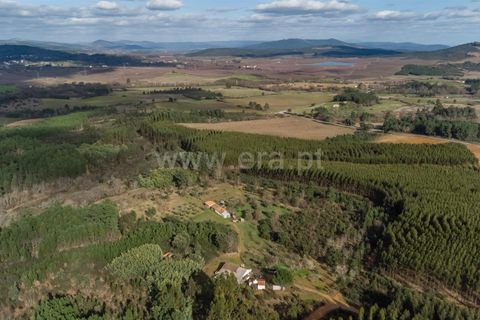 Tomt i Fundao, Castelo Branco, Fundao - € 27 500 | Ref: 255260027 - foto 8