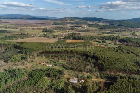 Tomt i Fundao, Castelo Branco, Fundao - € 27 500 | Ref: 255260027 - foto 9