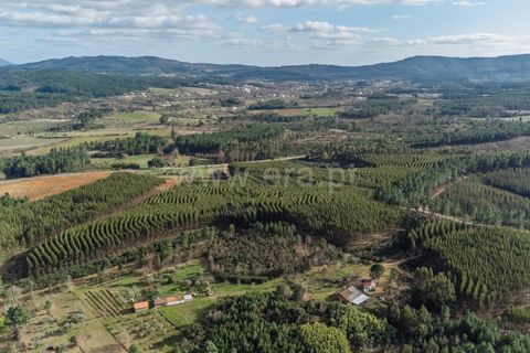 Tomt i Fundao, Castelo Branco, Fundao - € 27 500 | Ref: 255260027 - foto 10