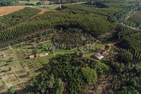 Tomt i Fundao, Castelo Branco, Fundao - € 27 500 | Ref: 255260027 - foto 11