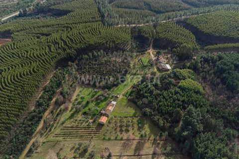 Tomt i Fundao, Castelo Branco, Fundao - € 27 500 | Ref: 255260027 - foto 12
