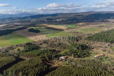 Tomt i Fundao, Castelo Branco, Fundao - € 27 500 | Ref: 255260027 - foto 15
