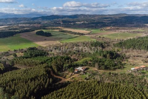 Tomt i Fundao, Castelo Branco, Fundao - € 27 500 | Ref: 255260027 - foto 16